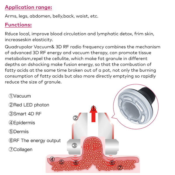 SQ149 Pro – Συσκευή σπηλαίωσης 80K 6 σε 1 με RF, EMS και μασάζ κενού